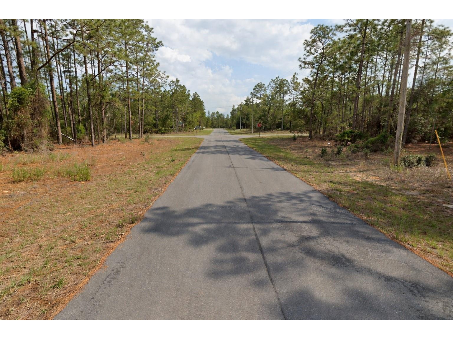 11033 N Trigger Terrace Citrus Springs FL 34433 A4683315 image3