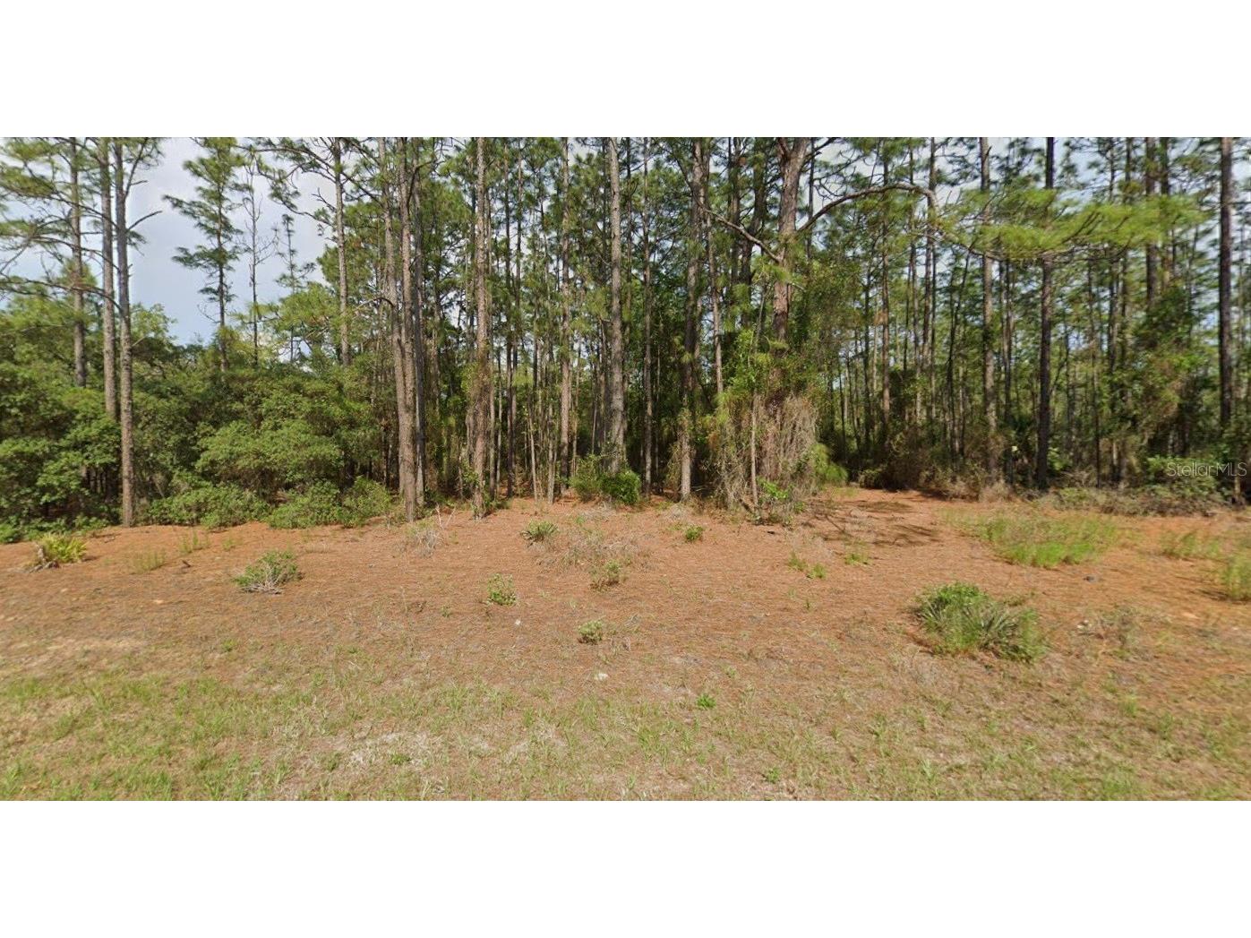 11033 N Trigger Terrace Citrus Springs FL 34433 A4683315 image4