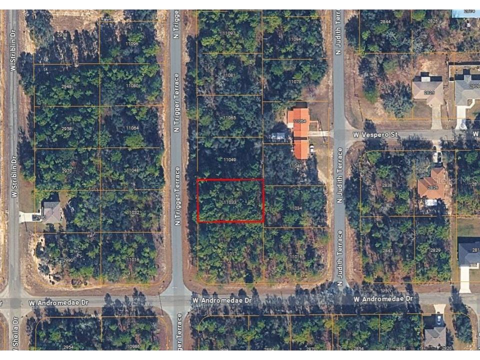 11033 N Trigger Terrace Citrus Springs FL 34433 A4683315 image5