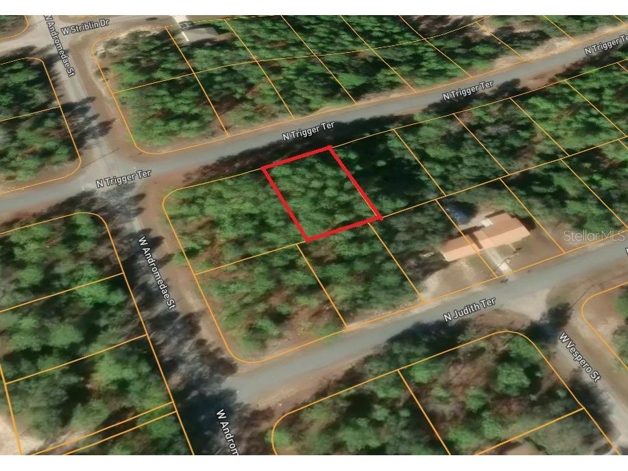 11033 N Trigger Terrace Citrus Springs FL 34433 A4683315 image6