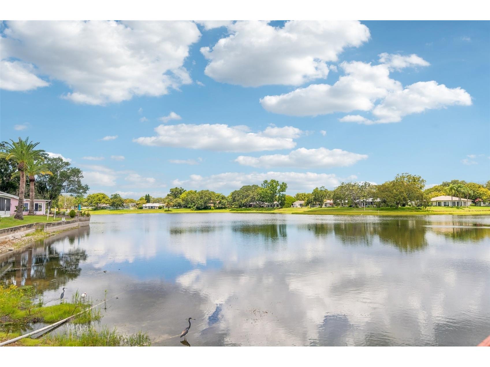 11033 Salt Tree Drive Port Richey FL 34668 TB8522482 image28