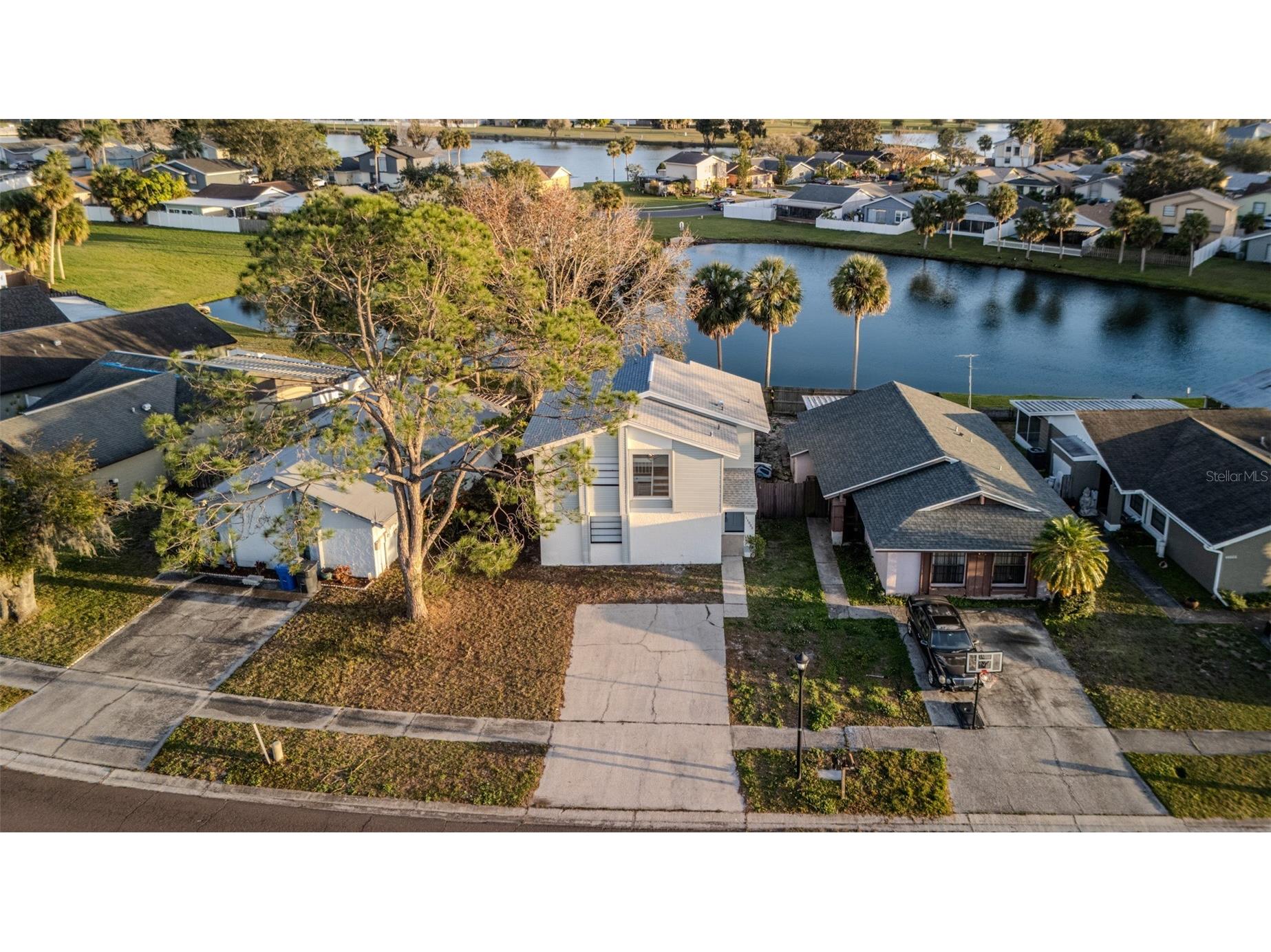 11033 Springridge Drive Tampa FL 33624 TB8464460 image1