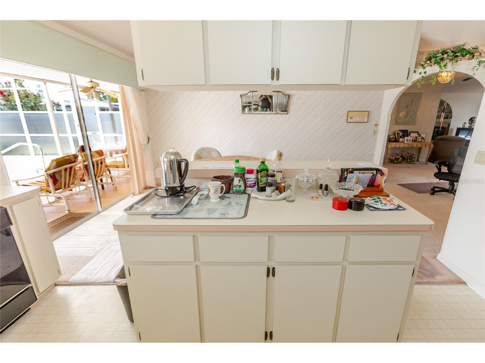 11034 Auburndale Street Spring Hill FL 34609 W7887199 image17
