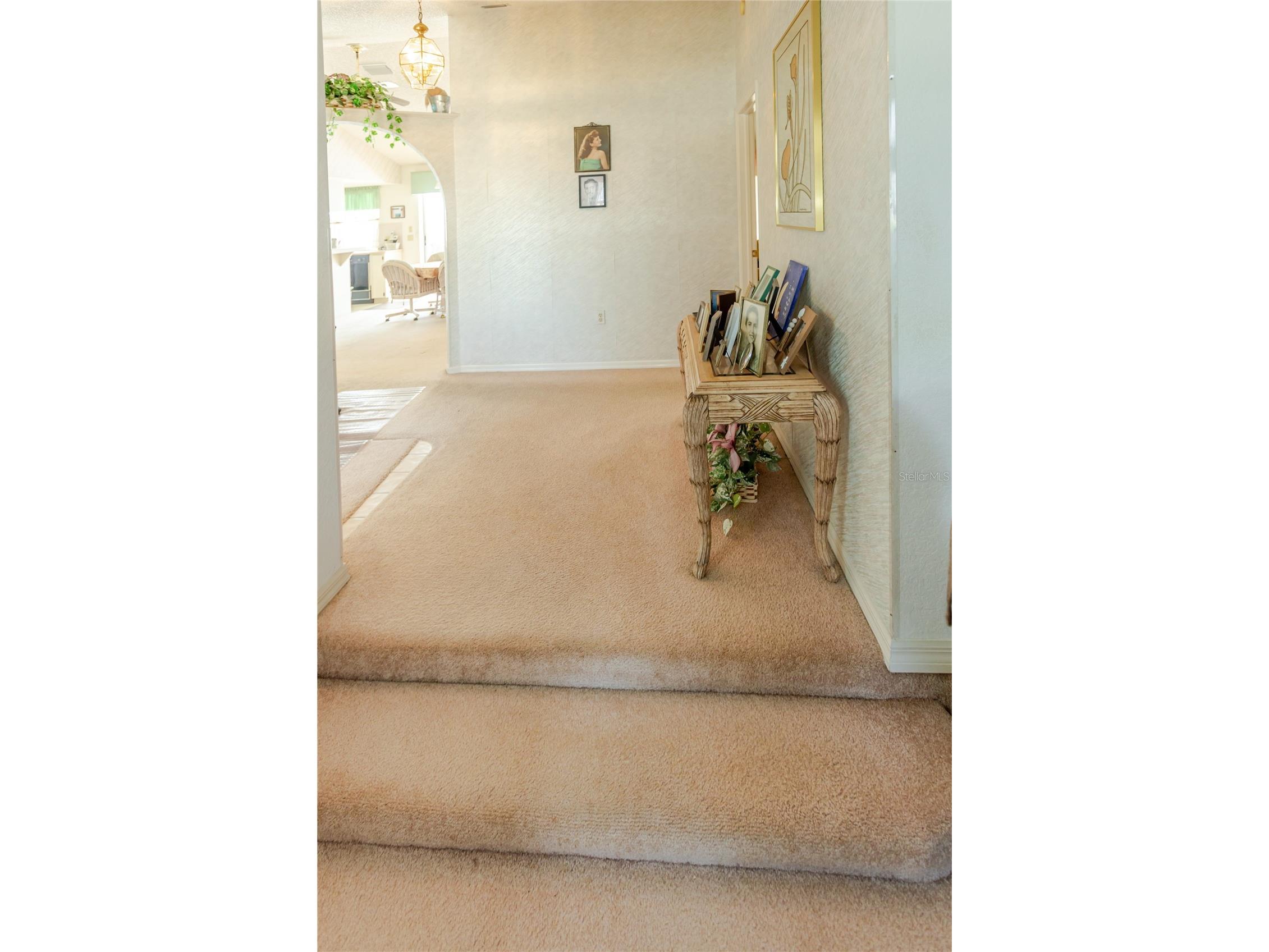 11034 Auburndale Street Spring Hill FL 34609 W7887199 image27