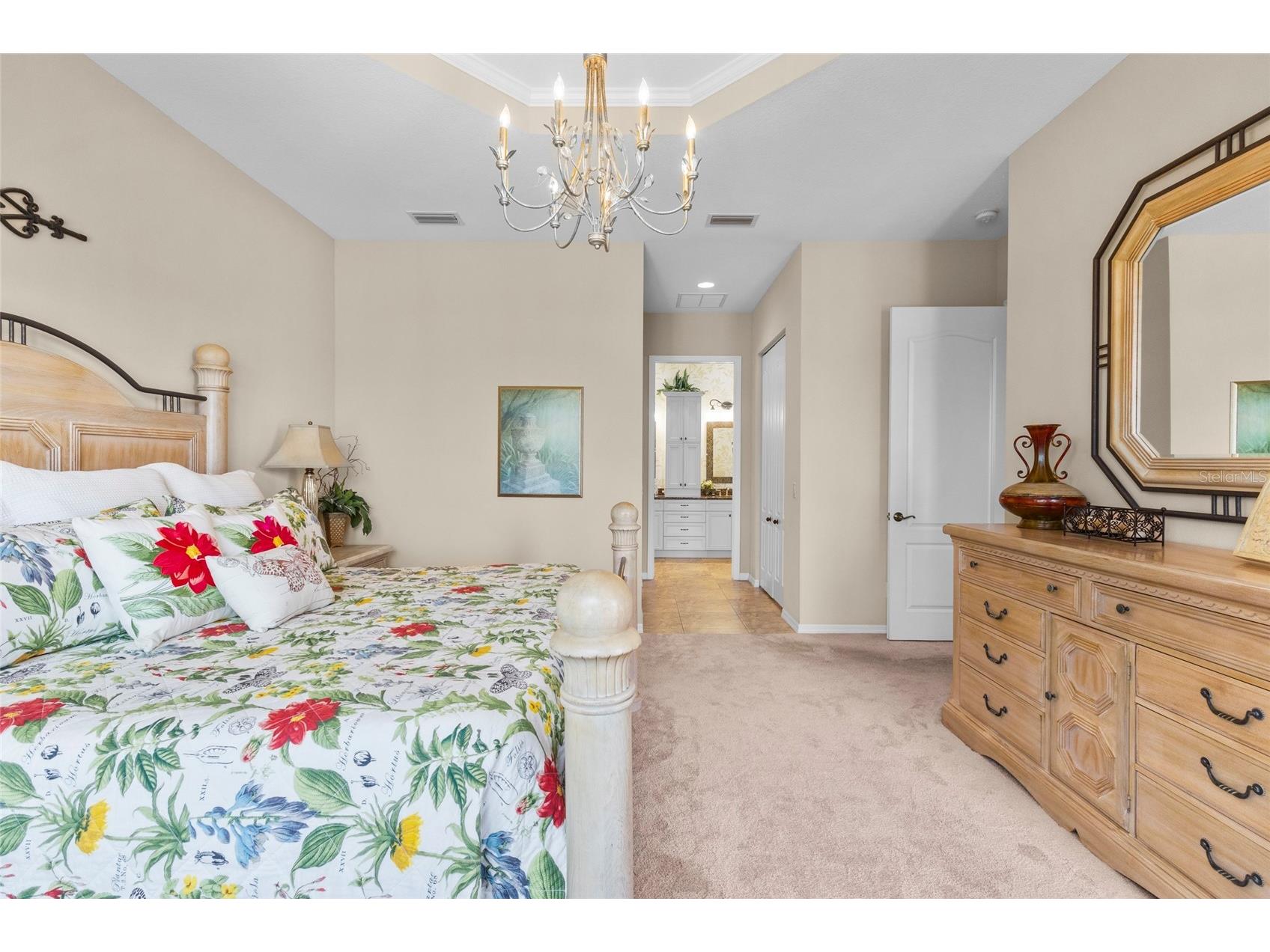 11034 Barnsley Drive Venice FL 34293 N6143728 image29