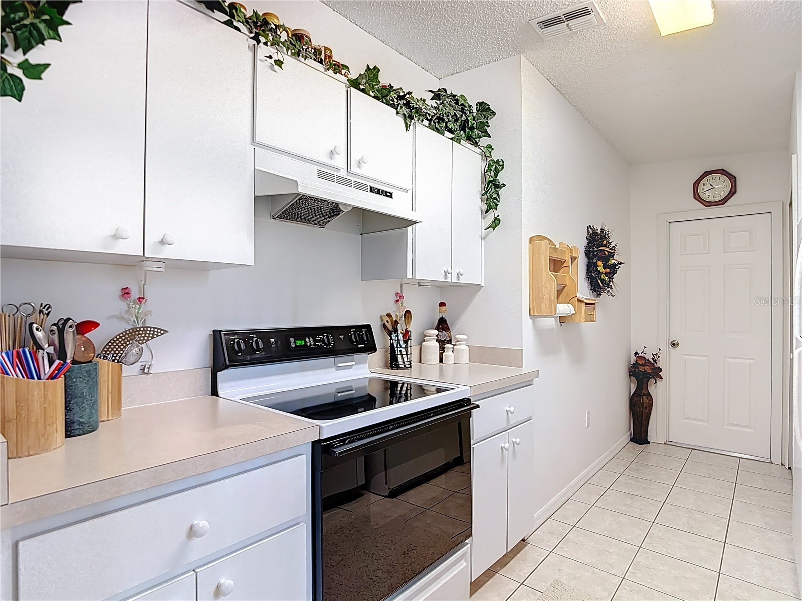 11034 Cranston Street Spring Hill FL 34608 W7885760 image14