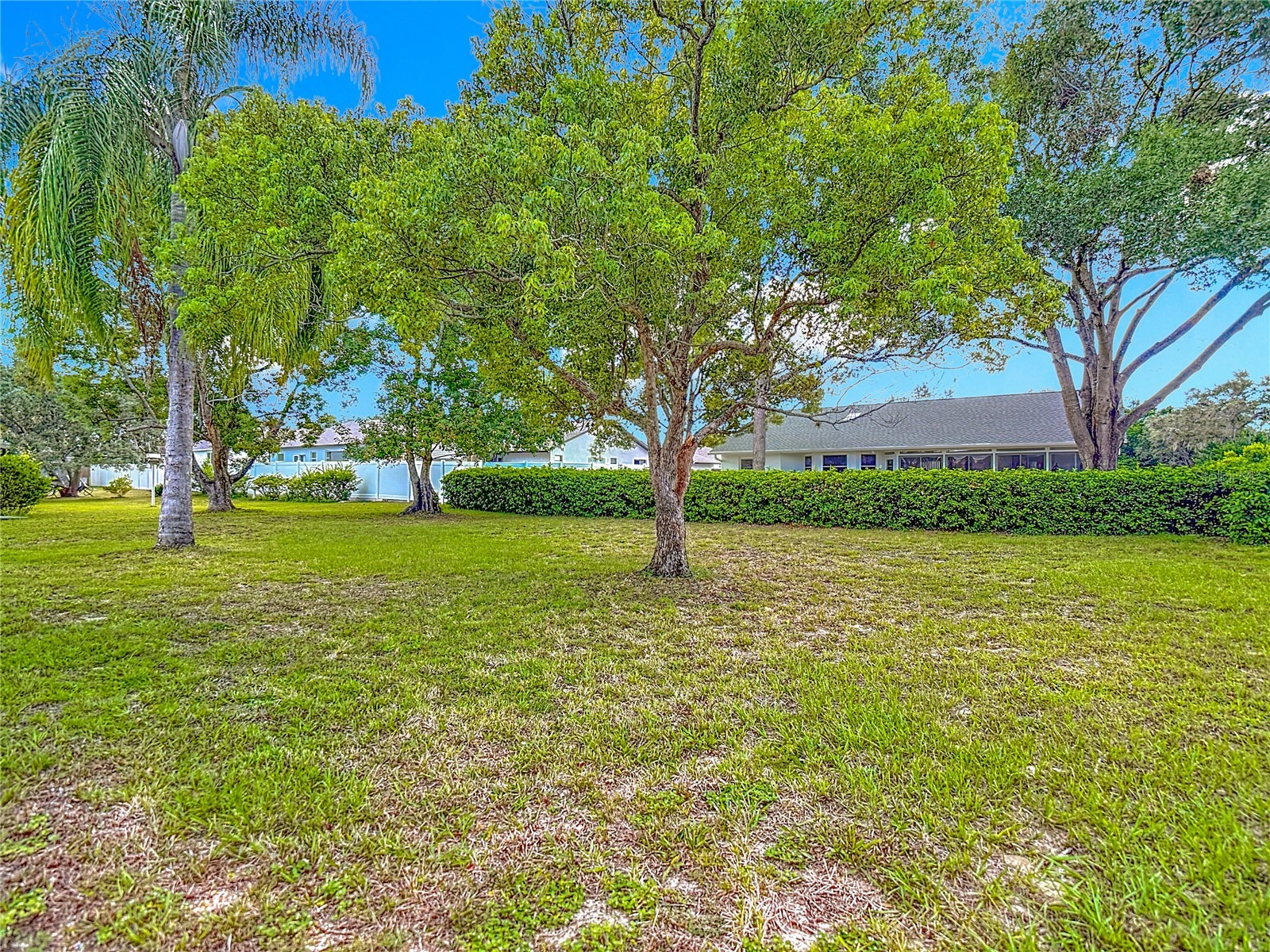 11034 Cranston Street Spring Hill FL 34608 W7885760 image35