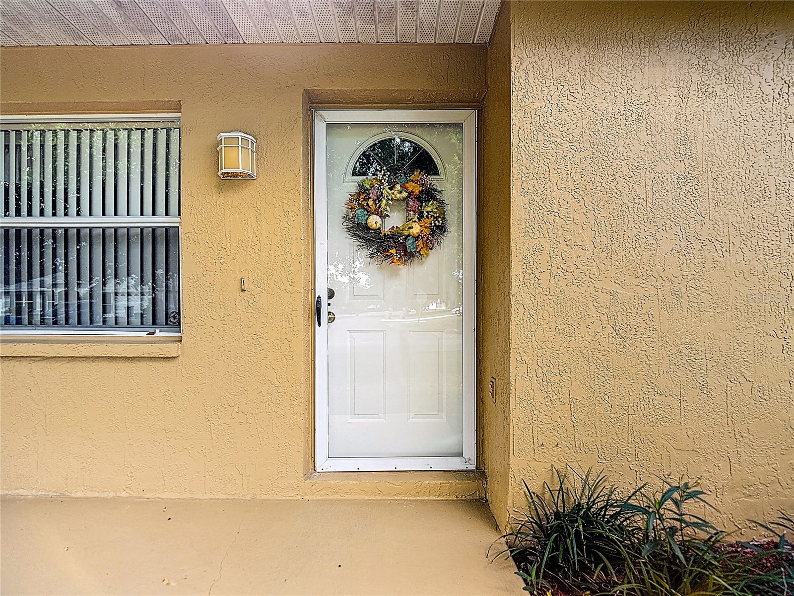 11034 Cranston Street Spring Hill FL 34608 W7885760 image6