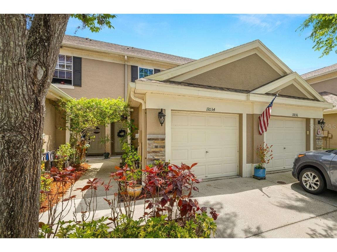 11034 Windsor Place Circle Tampa FL 33626 T3516654 image1