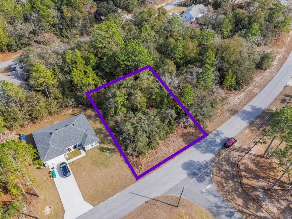 11035 N Harriet Way Citrus Springs FL 34434 G5092001 image1