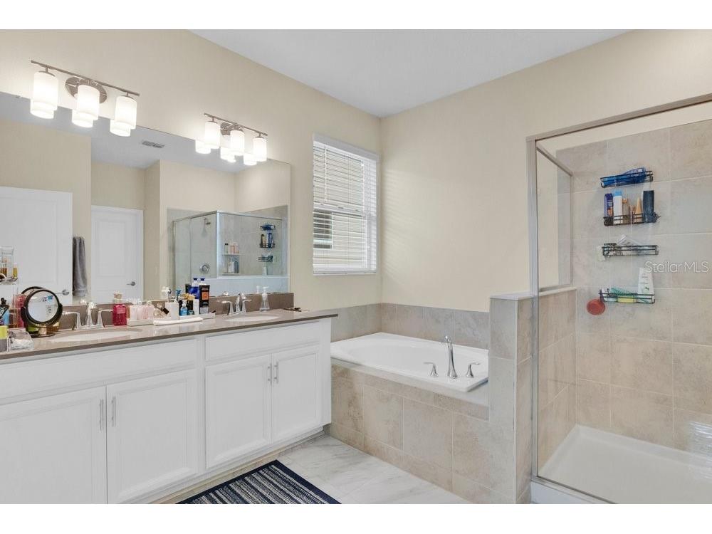 11036 Robert Frost Drive Winter Garden FL 34787 O6410350 image13