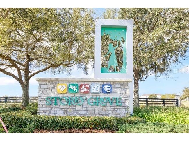 11036 Robert Frost Drive Winter Garden FL 34787 O6410350 image26