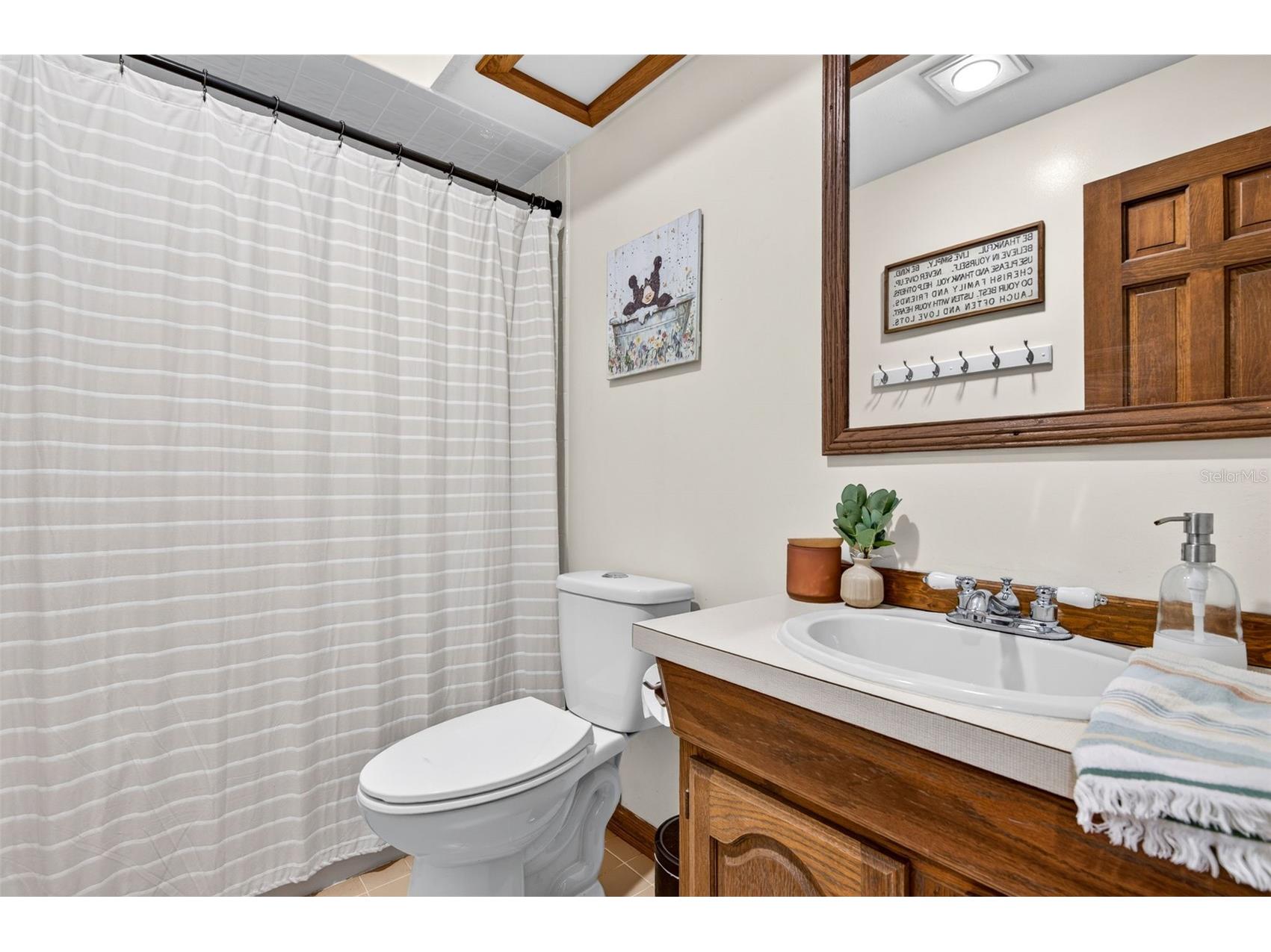11037 Gifford Dr Spring Hill FL 34608 TB8523883 image24