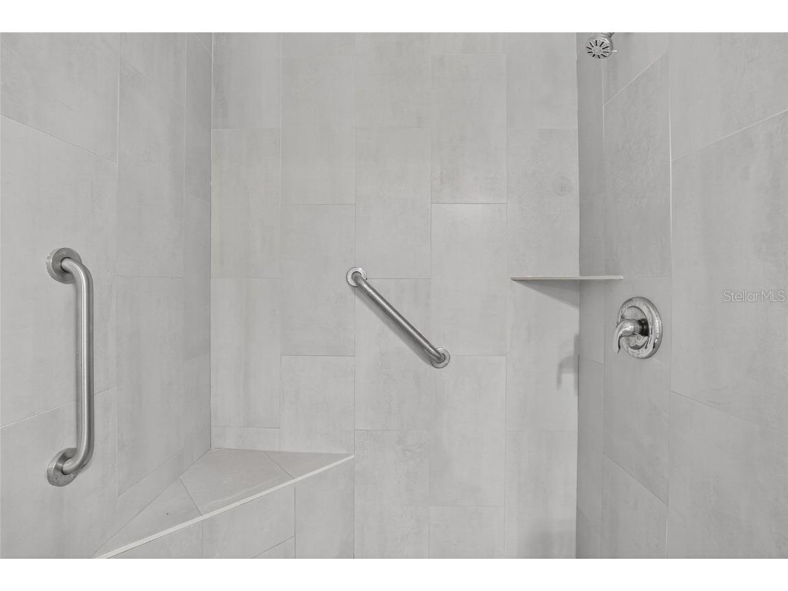 11038 Holly Cone Drive Riverview FL 33569 TB8446526 image22