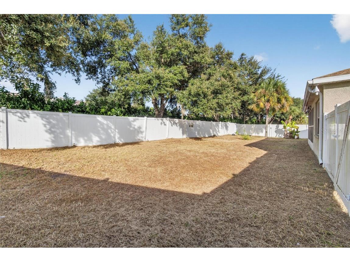 11038 Holly Cone Drive Riverview FL 33569 TB8446526 image43