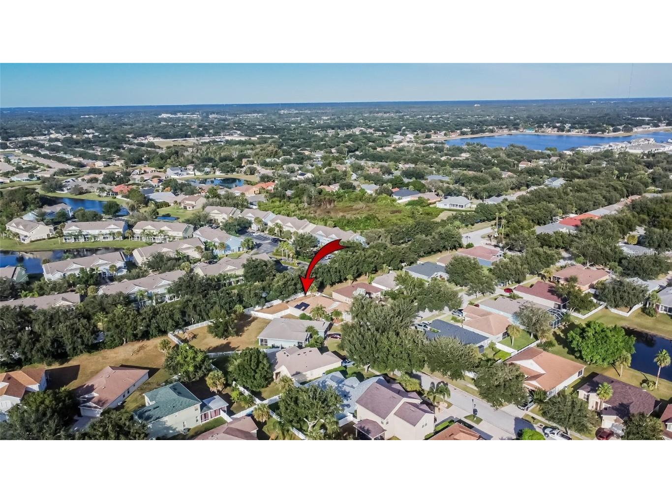 11038 Holly Cone Drive Riverview FL 33569 TB8446526 image47