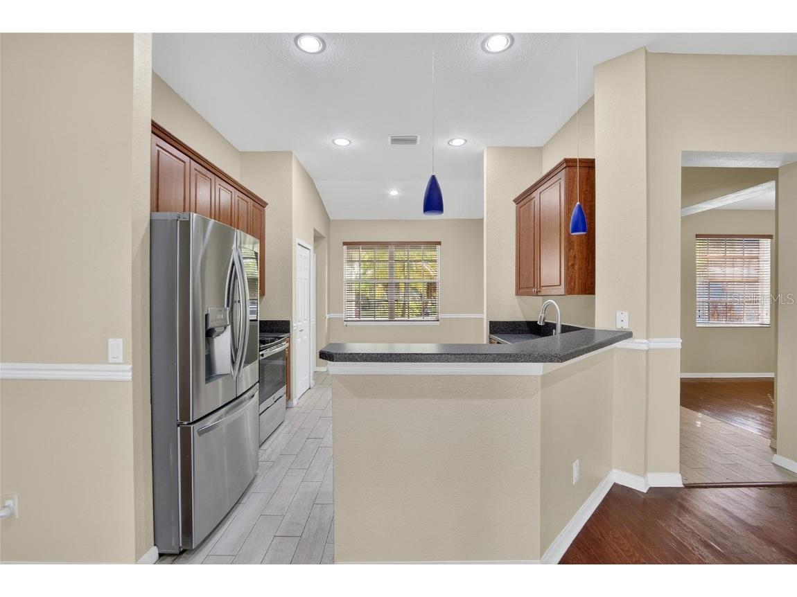 11038 Holly Cone Drive Riverview FL 33569 TB8446526 image5