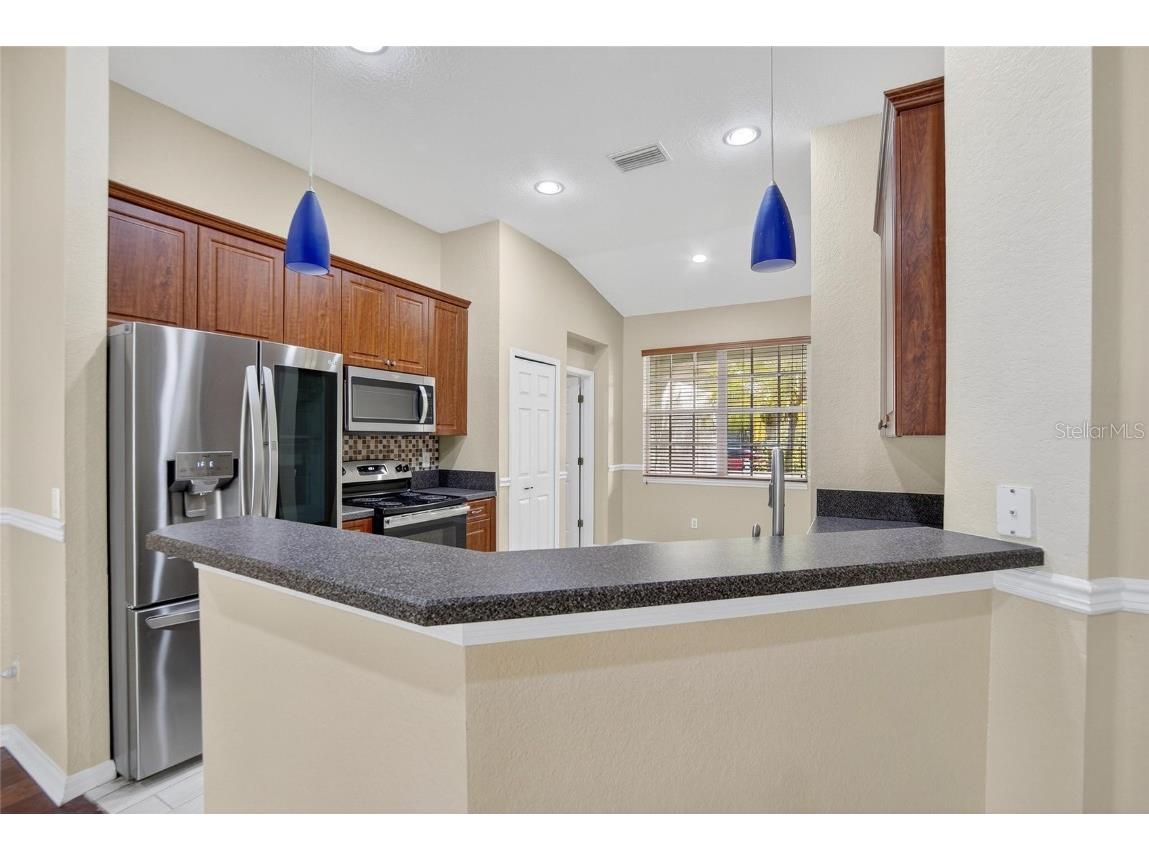 11038 Holly Cone Drive Riverview FL 33569 TB8446526 image7