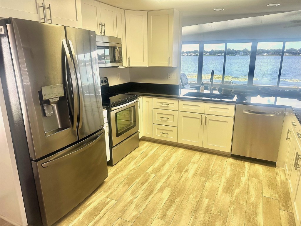 11039 100th Street #310 Largo FL 33773 - LAKE SEMINOLE TB8433370 image9