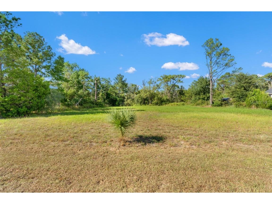 11039 Fulton Avenue Weeki Wachee FL 34613 W7880725 image5