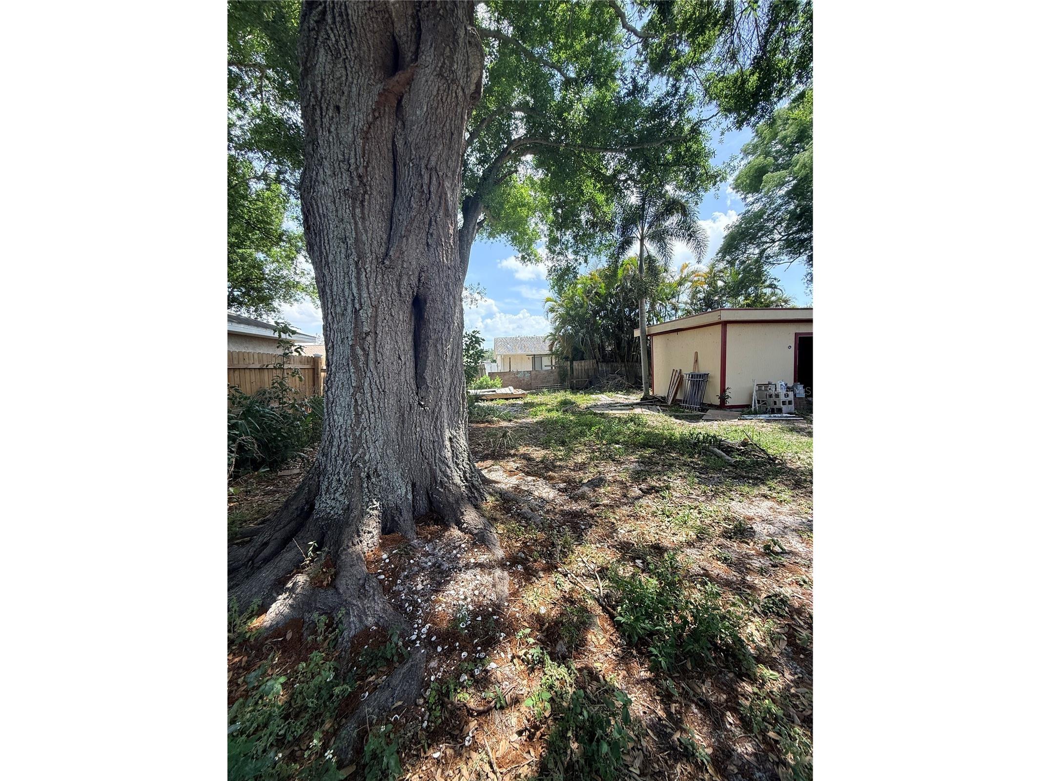 1104 67th Avenue W Bradenton FL 34207 A4690641 image35