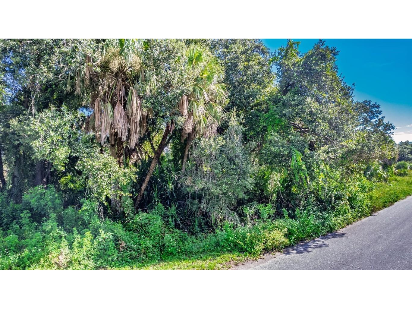 1104 Buena Vista Circle Port Charlotte FL 33953 C7514604 image1