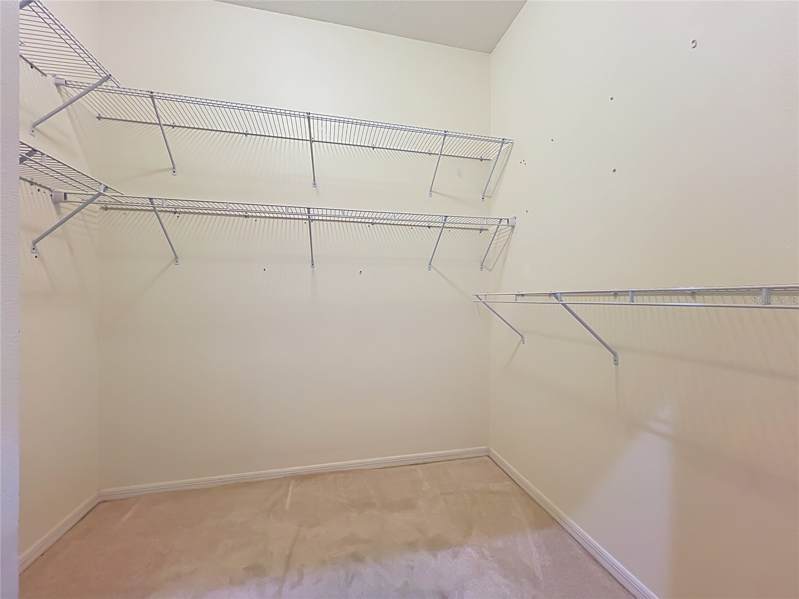 1104 Needlewood Loop Oviedo FL 32765 O6413440 image49