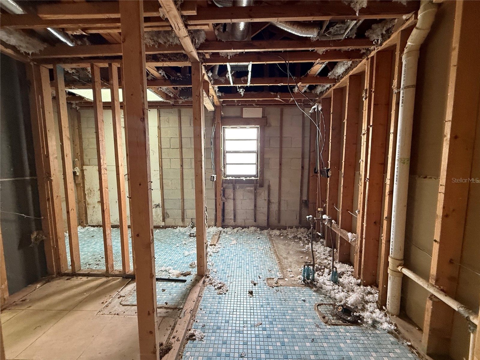 1104 Timor Avenue Orlando FL 32804 O6377138 image11