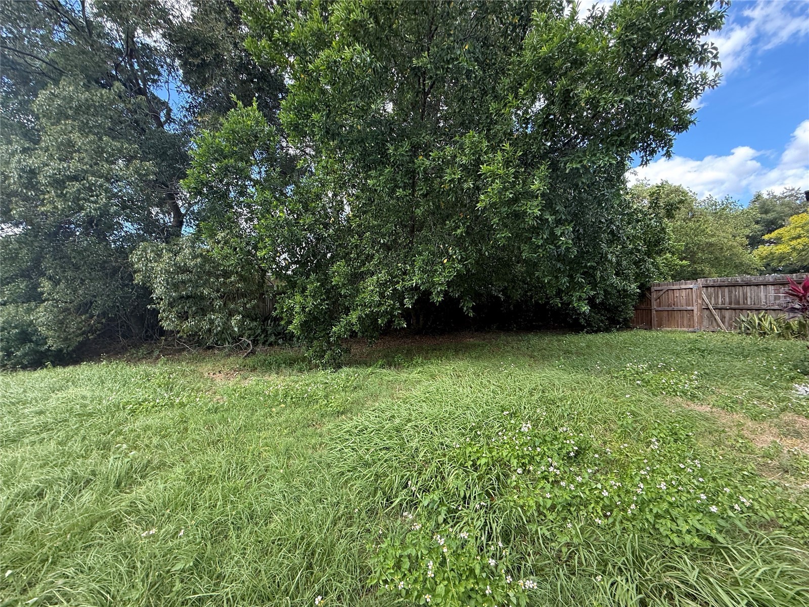 1104 Timor Avenue Orlando FL 32804 O6377138 image17