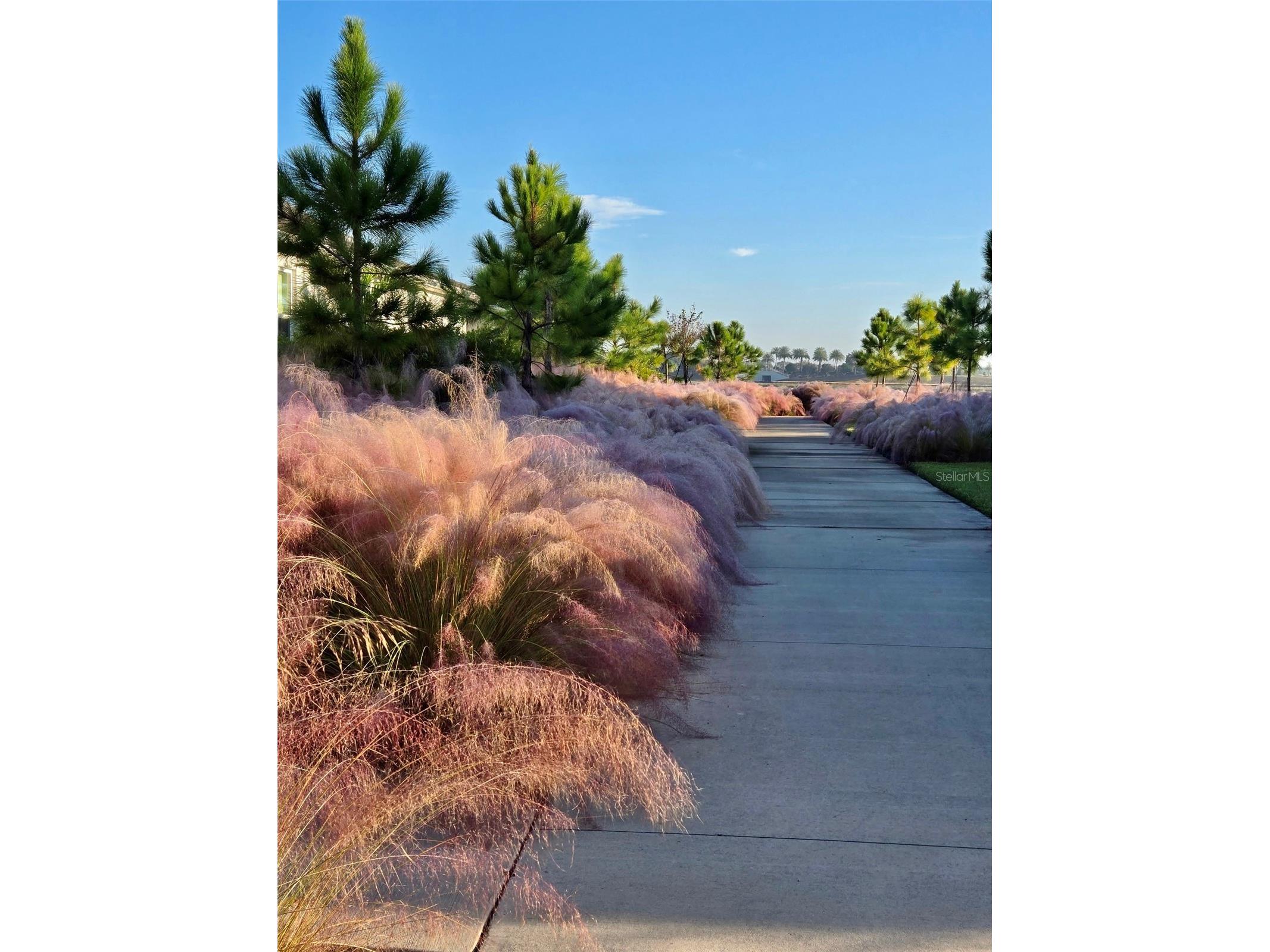 1104 Waterline Court Sarasota FL 34240 A4689875 image53