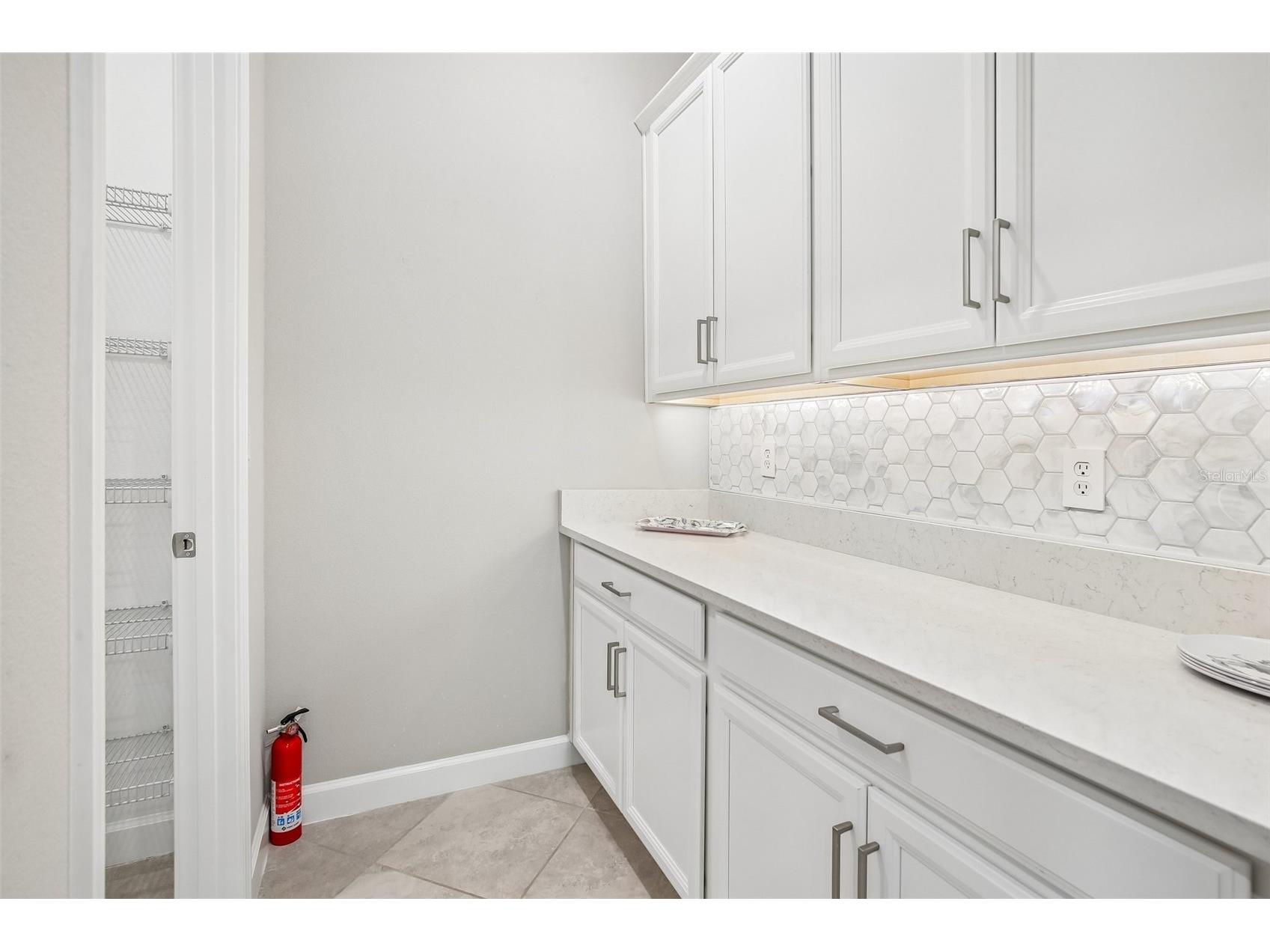 11040 Banyan Breeze Boulevard Land O Lakes FL 34638 W7886324 image14