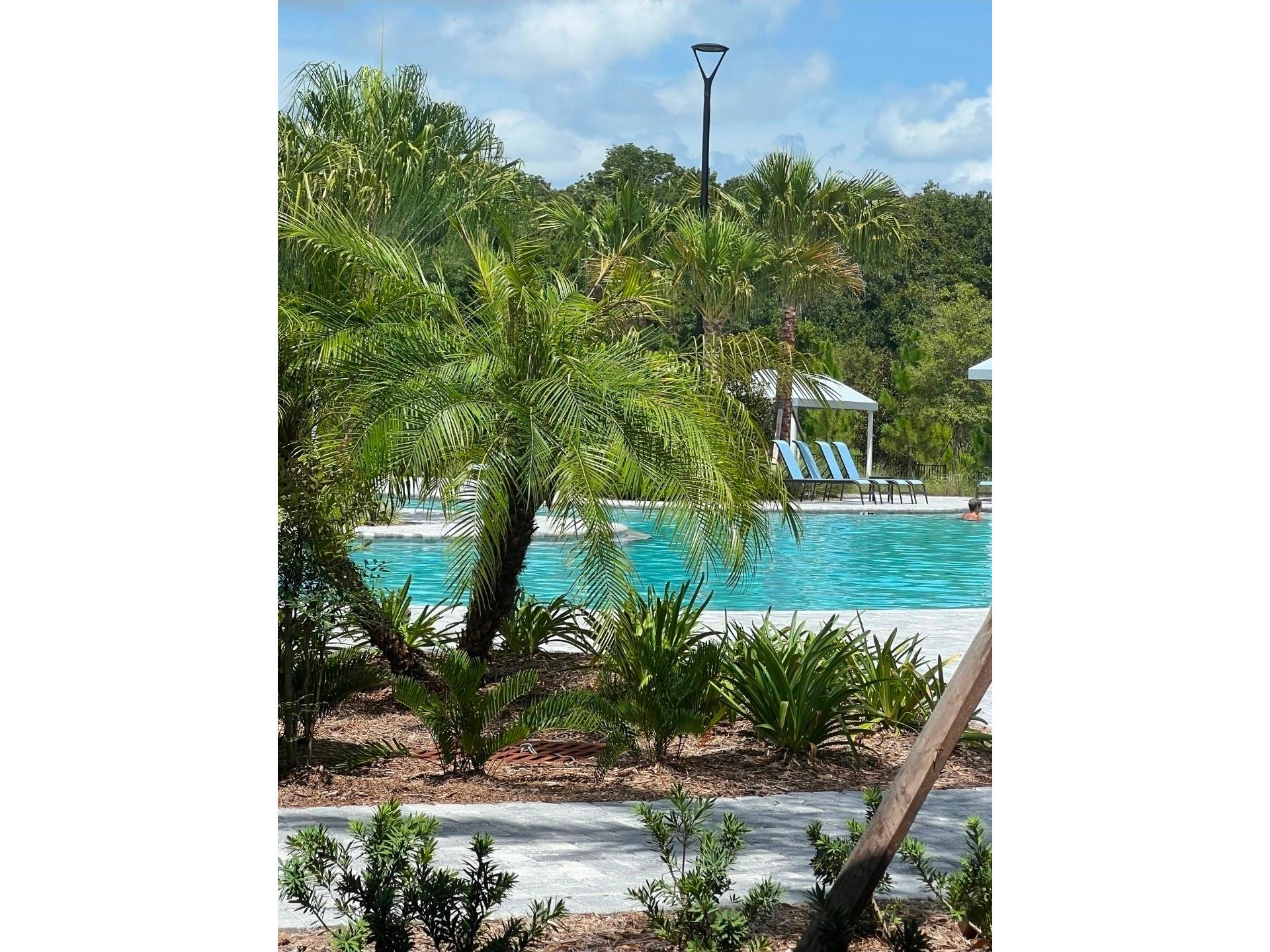 11040 Banyan Breeze Boulevard Land O Lakes FL 34638 W7886324 image53