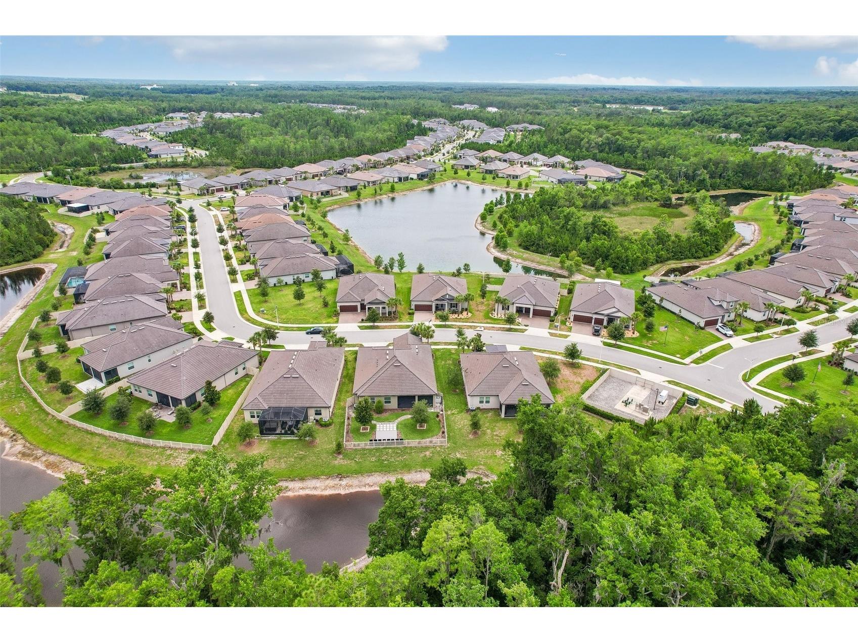 11040 Banyan Breeze Boulevard Land O Lakes FL 34638 W7886324 image54