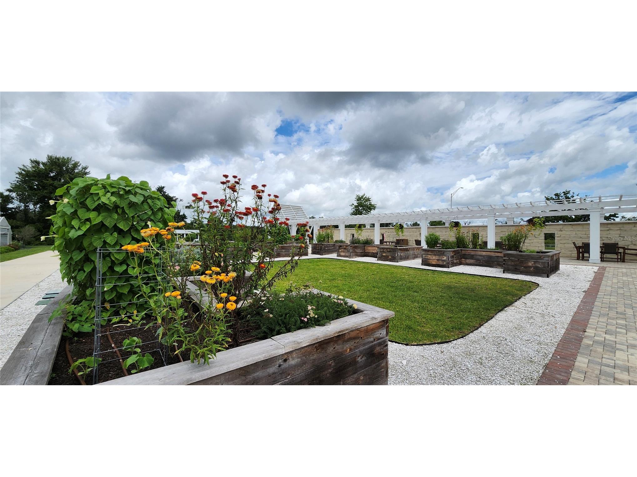 11040 Banyan Breeze Boulevard Land O Lakes FL 34638 W7886324 image61