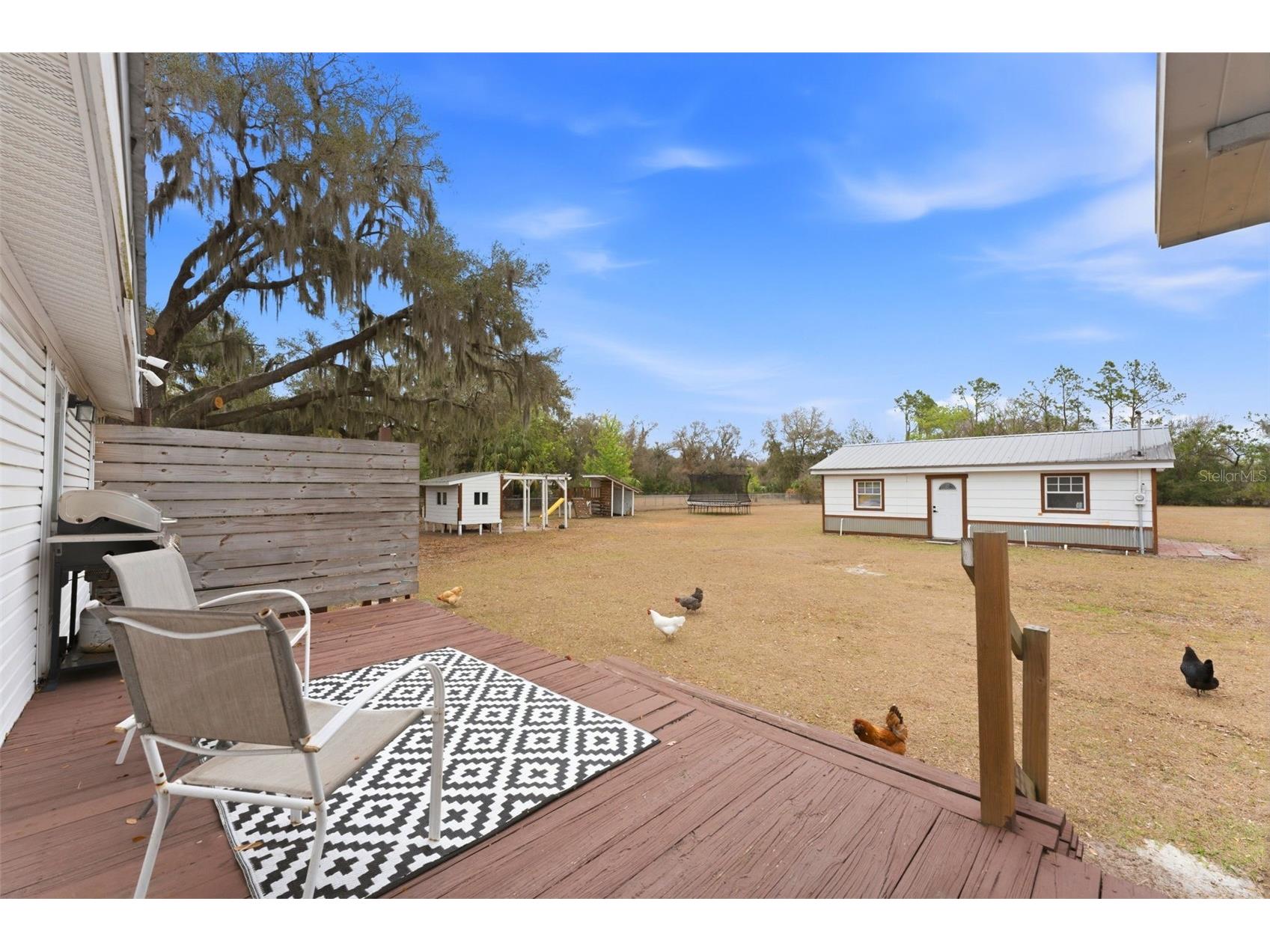 11040 Browning Road Lithia FL 33547 TB8482690 image34