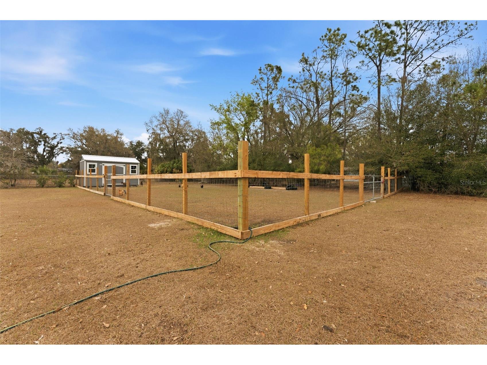 11040 Browning Road Lithia FL 33547 TB8482690 image44