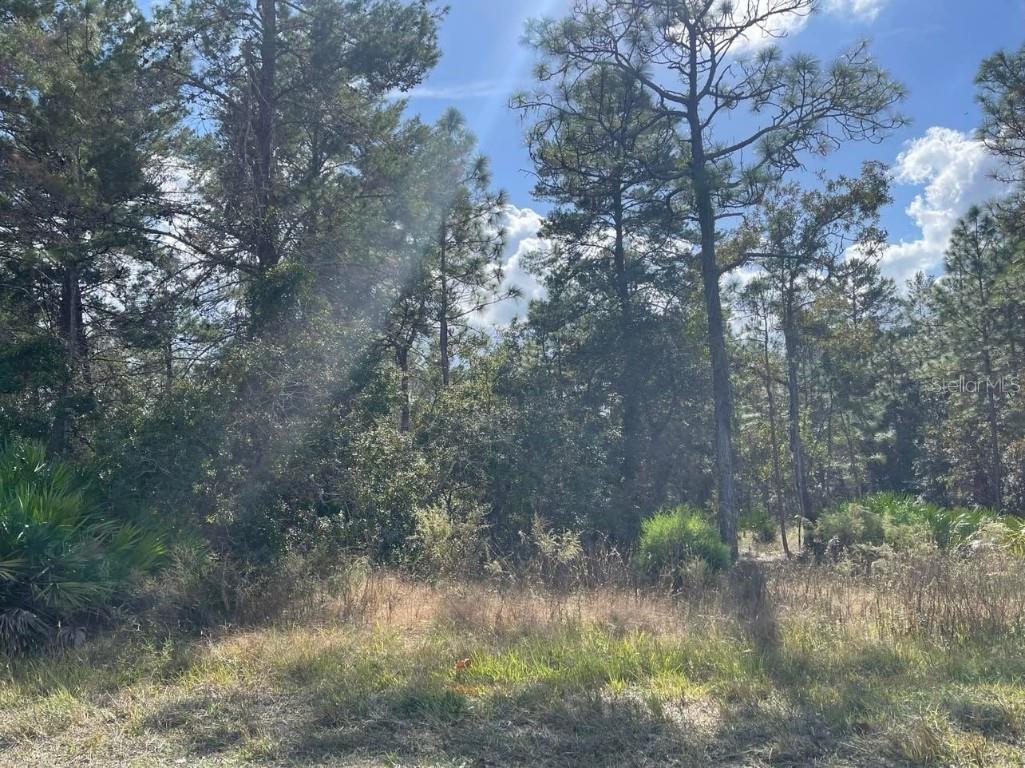 11040 Eider Avenue Weeki Wachee FL 34613 T3342876 image1