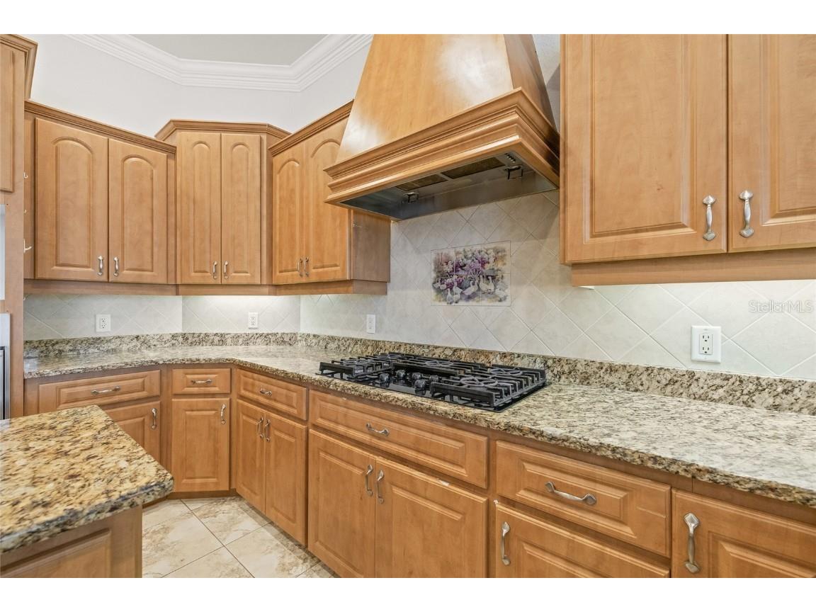 11040 Fulton Avenue Weeki Wachee FL 34613 TB8446999 image14