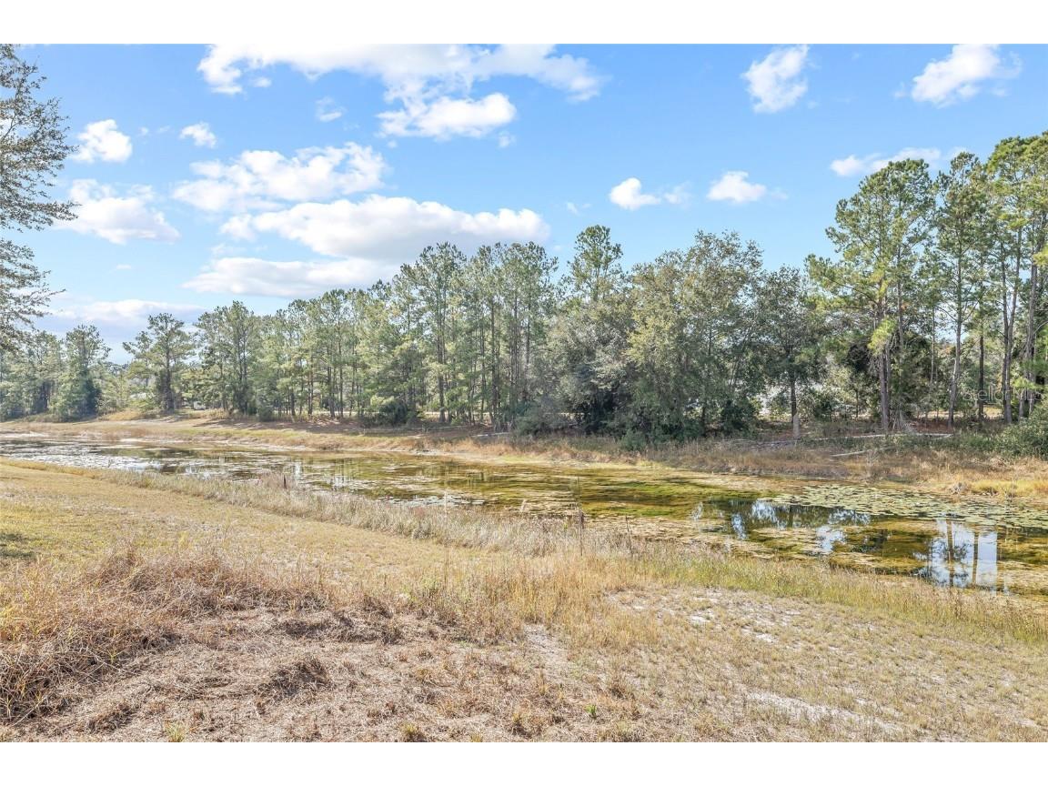 11040 Fulton Avenue Weeki Wachee FL 34613 TB8446999 image57