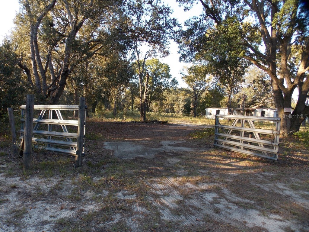 11040 SE 141st Avenue Road Ocklawaha FL 32179 OM667352 image1