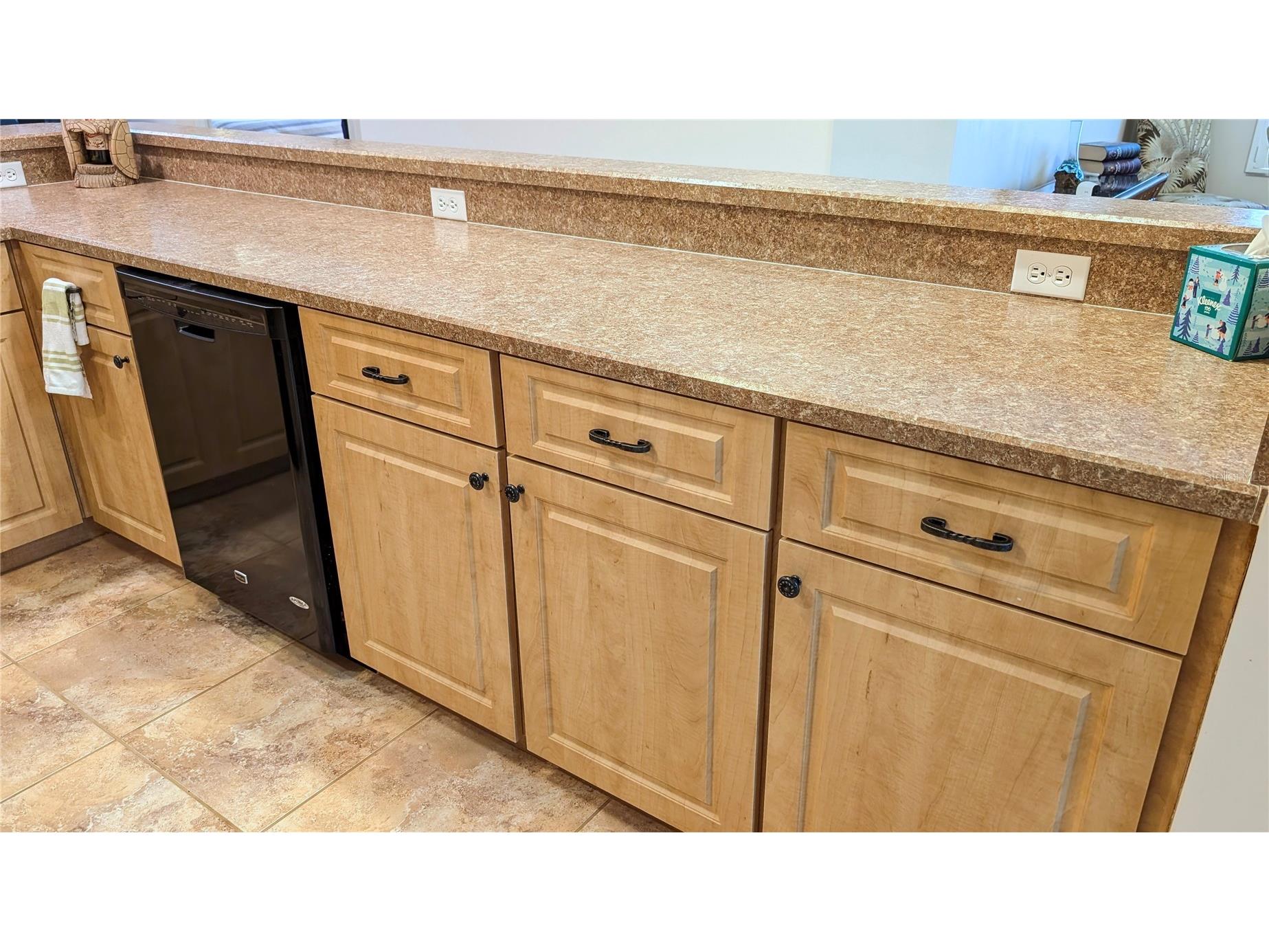 11040 W Cove Harbor Drive Crystal River FL 34428 - INDIAN RIVER TB8504386 image11