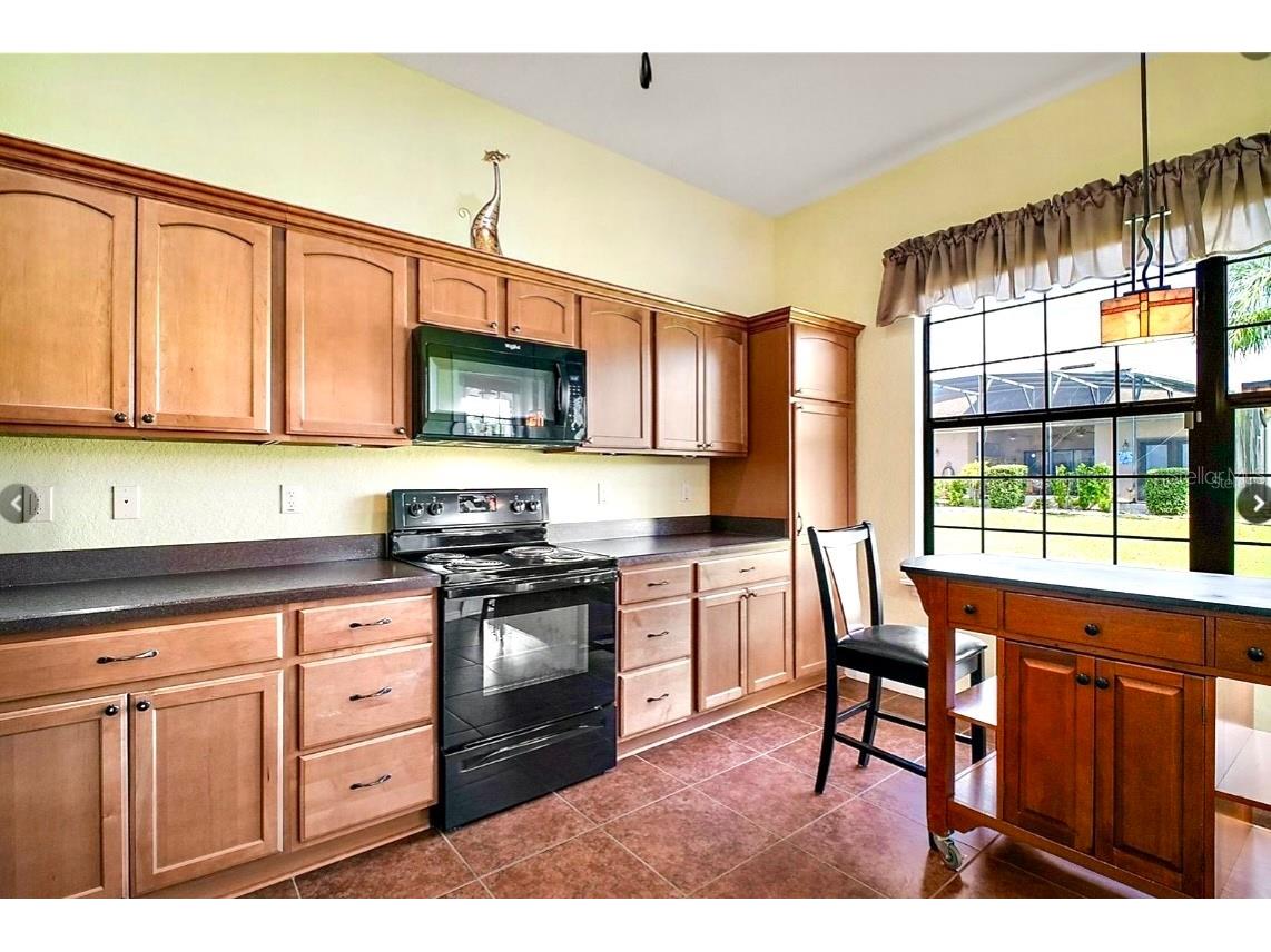 11041 SE 169th Place Summerfield FL 34491 G5105375 image10