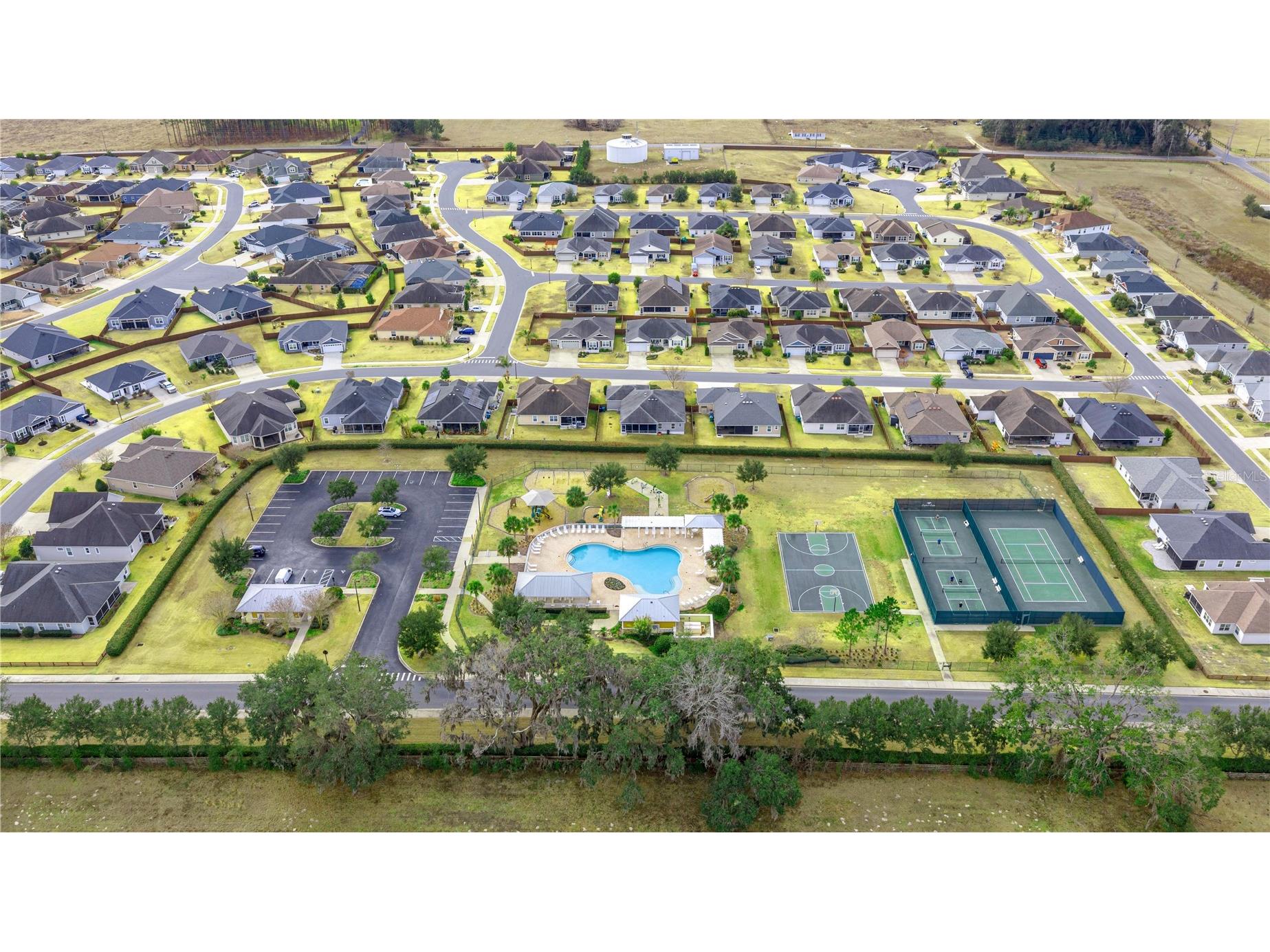 11041 White Terrace Oxford FL 34484 OM719246 image11