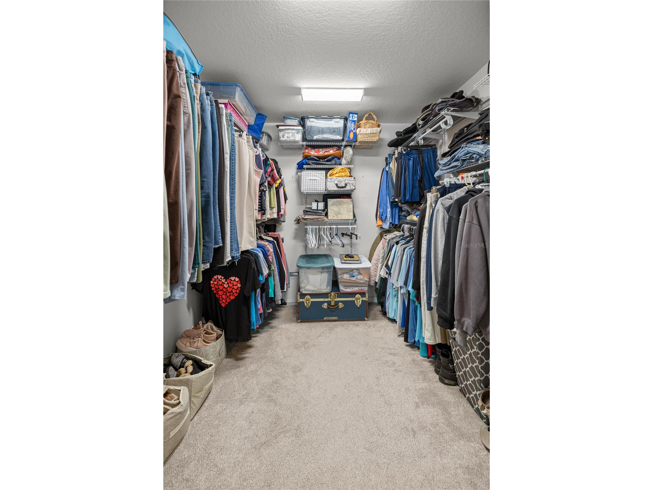 11041 White Terrace Oxford FL 34484 OM719246 image26