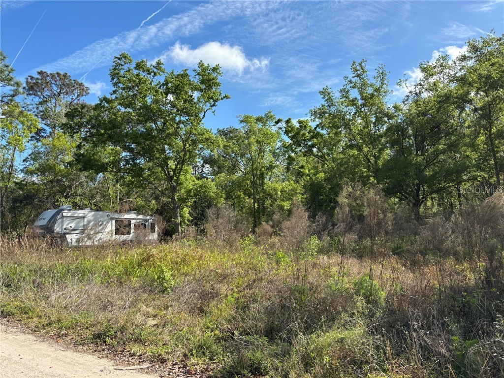 11042 Bounty Street New Port Richey FL 34654 W7874229 image1