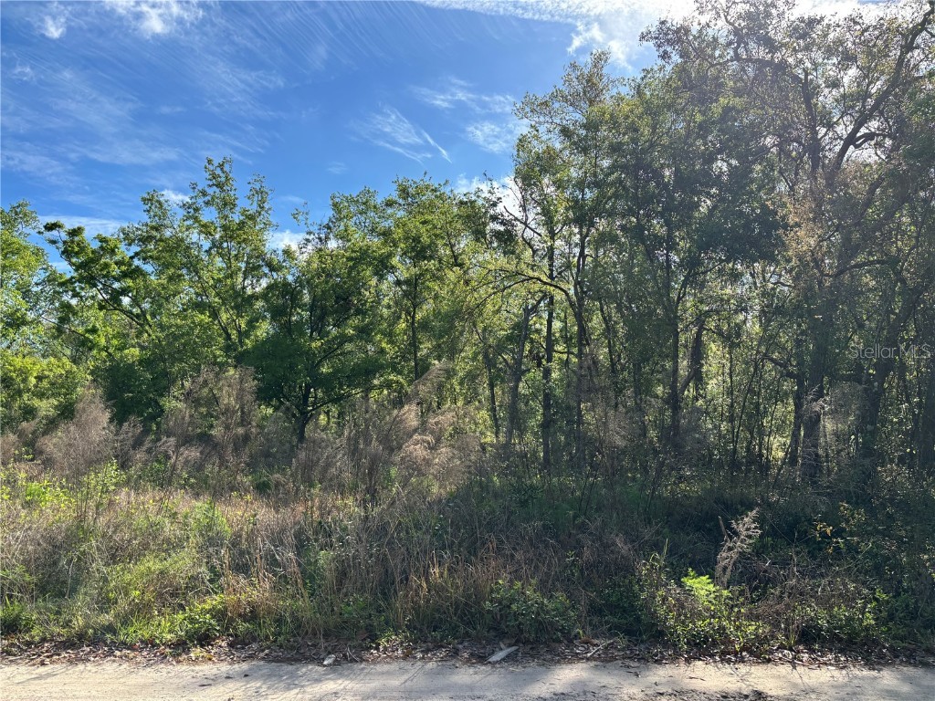 11042 Bounty Street New Port Richey FL 34654 W7874229 image2