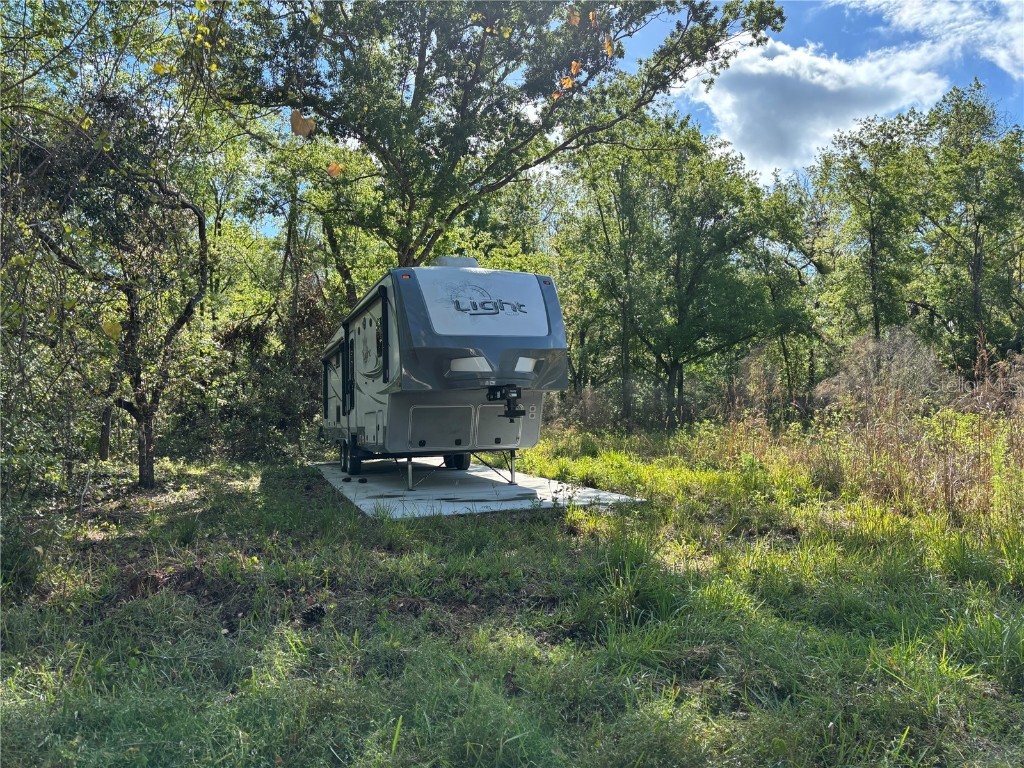 11042 Bounty Street New Port Richey FL 34654 W7874229 image3