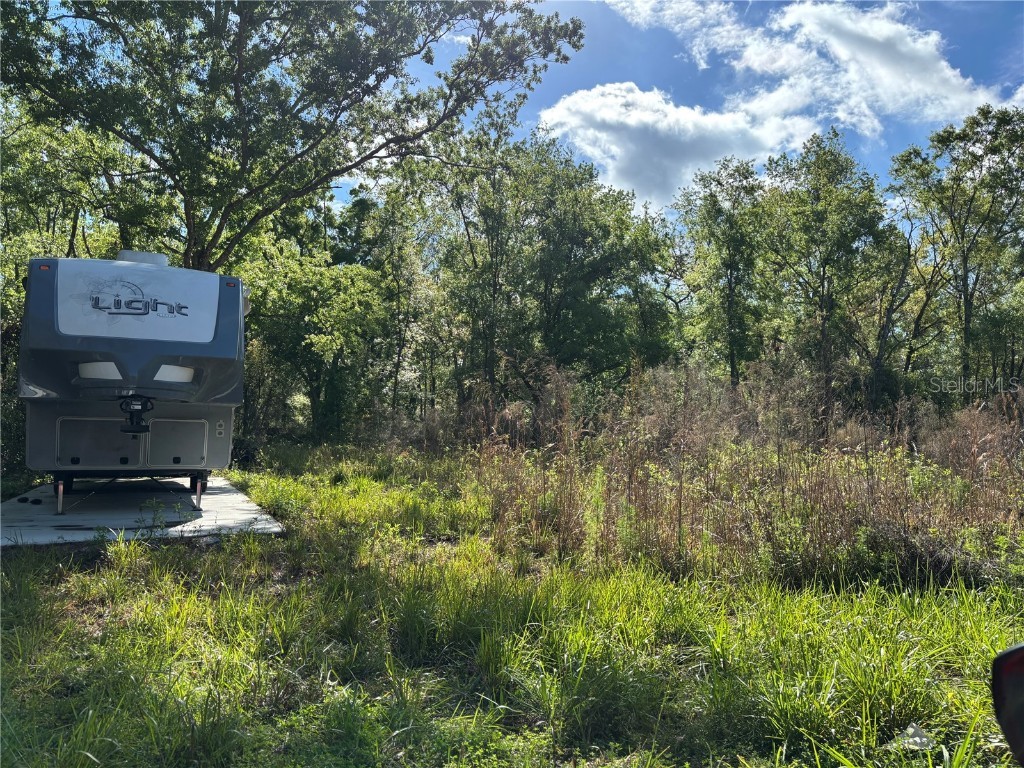 11042 Bounty Street New Port Richey FL 34654 W7874229 image4