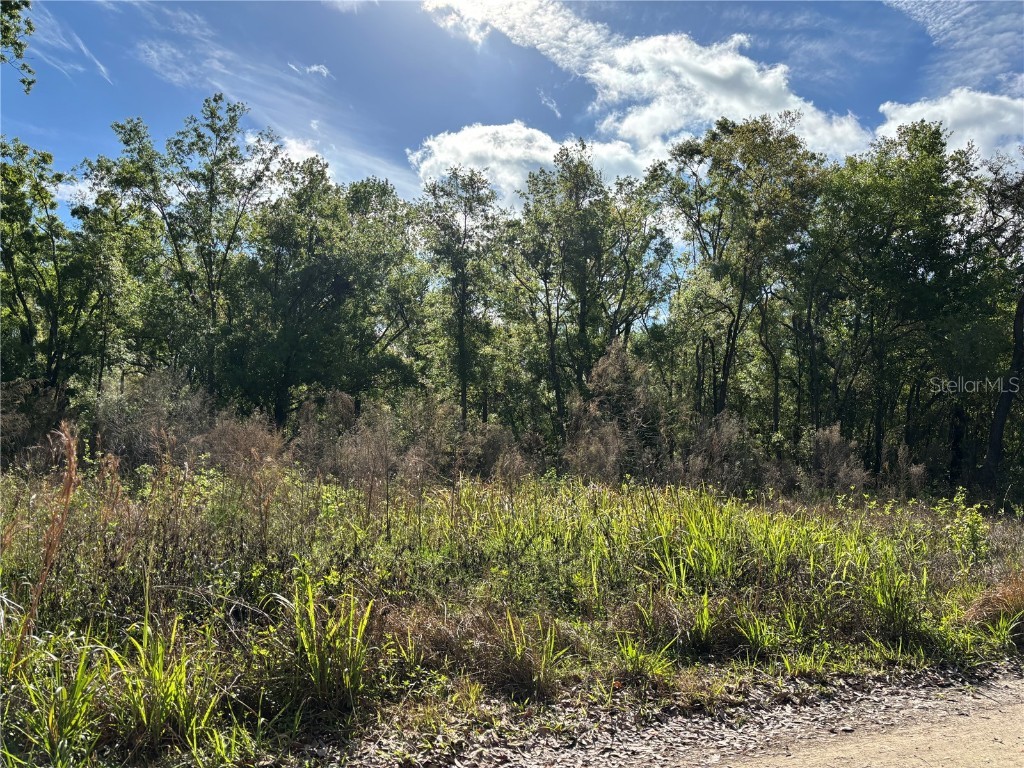 11042 Bounty Street New Port Richey FL 34654 W7874229 image5