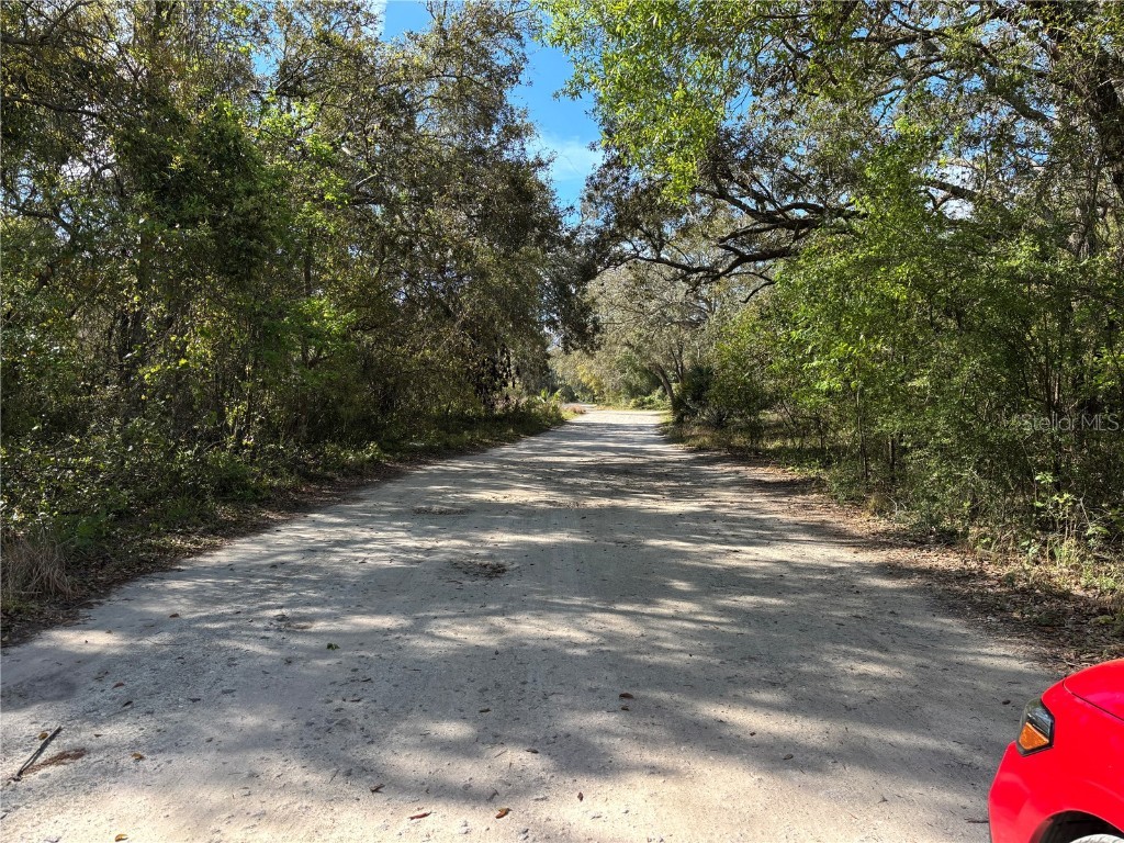 11042 Bounty Street New Port Richey FL 34654 W7874229 image7